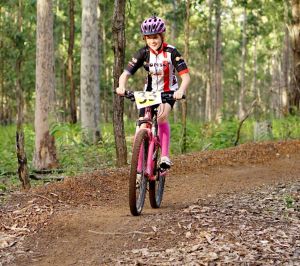 Bom Bom State Forest Mountain Bike Trails - Yamba Accommodation